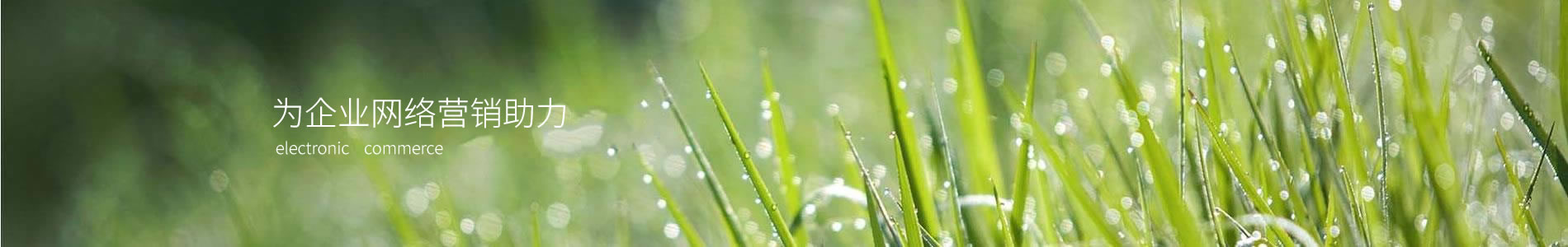 ŵܷ޹˾